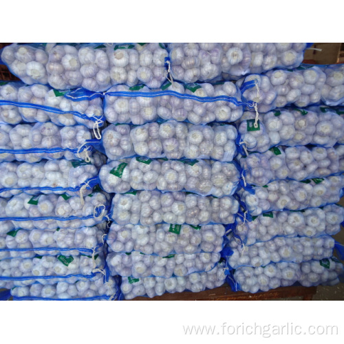 Normal White Garlic Fresh Crop 2019